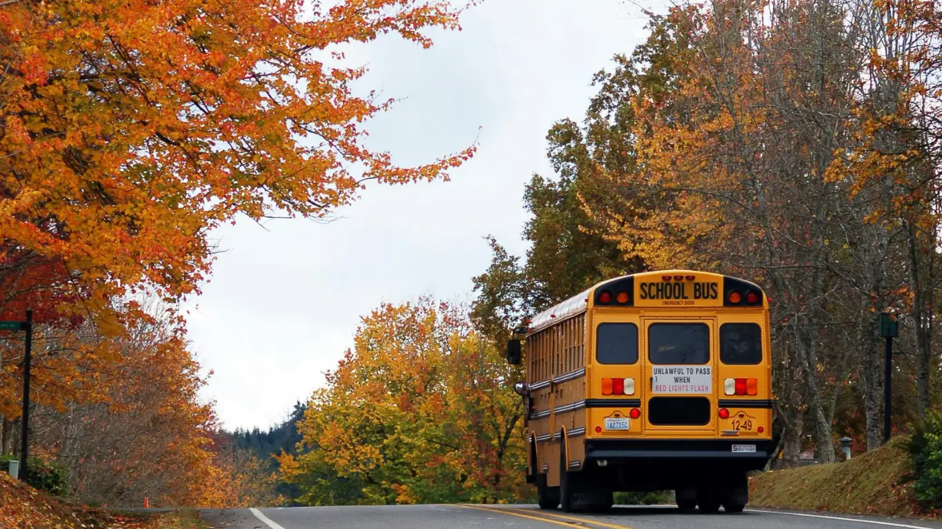 A school bus on a rural road lined with autumn foliage