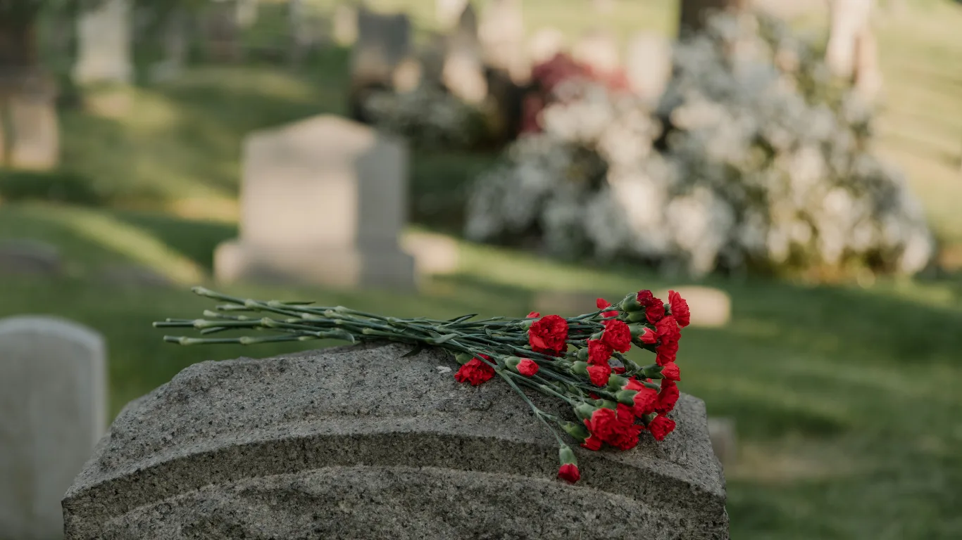 A bouquet of red carnations resting on a gray stone gravestone in a cemetery, with other headstones and greenery softly blurred in the background